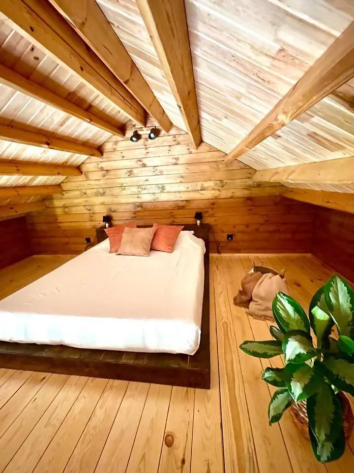 Luxury tent Mountain Eco Shelter 3 Hotel Corujeira de Dentro Portugal